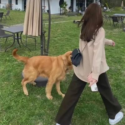2048:无处可逃